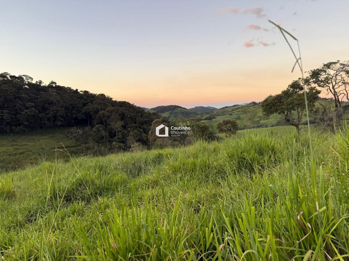 WhatsApp Image 2026-04-17 at 19.28.33 (1).jpeg